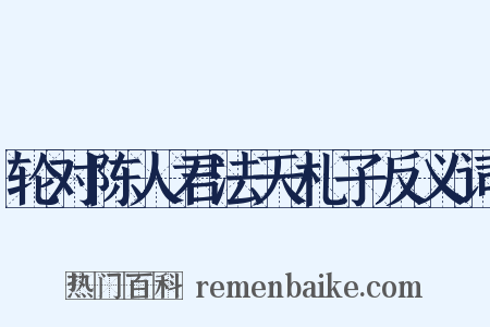 轮对陈人君法天札子反义词是什么意思的图片